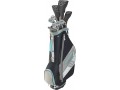 wilson-ultra-xd-damen-golfschlager-set-mit-carttasche-golf-komplettset-eisen-holzer-driver-bag-graphit-schaft-small-0