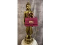 eleganz-in-pink-deine-neue-lieblingshandtasche-small-1